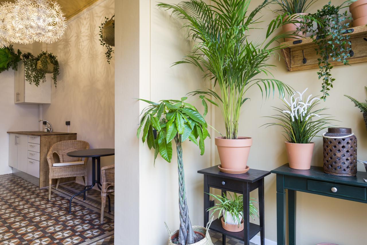 Casa Maca Barcelona (Adults Only) Hotel Exterior foto